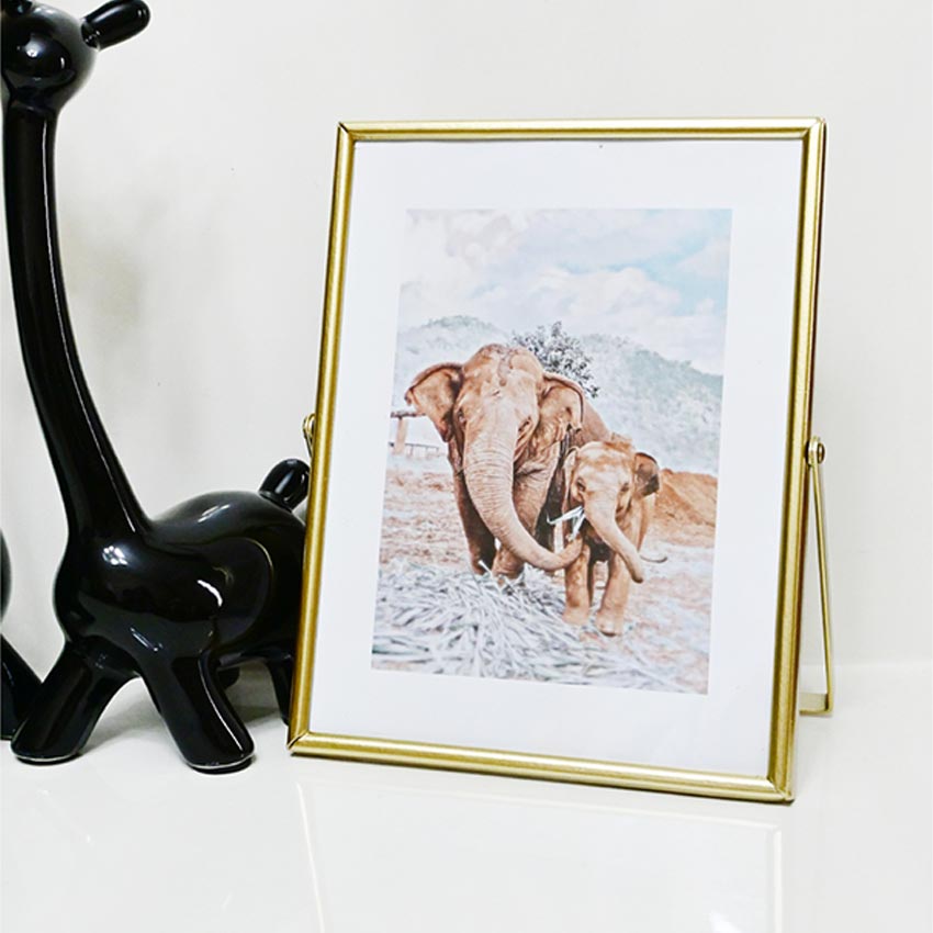Timeless Charm Golden Framed Elephant Photo