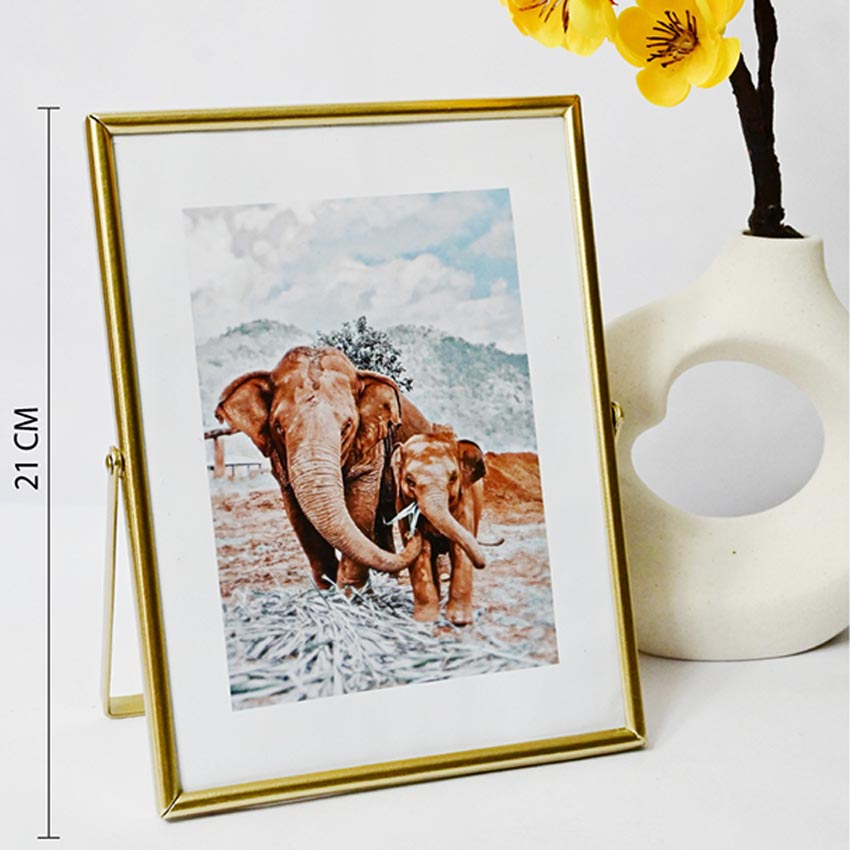 Timeless Charm Golden Framed Elephant Photo