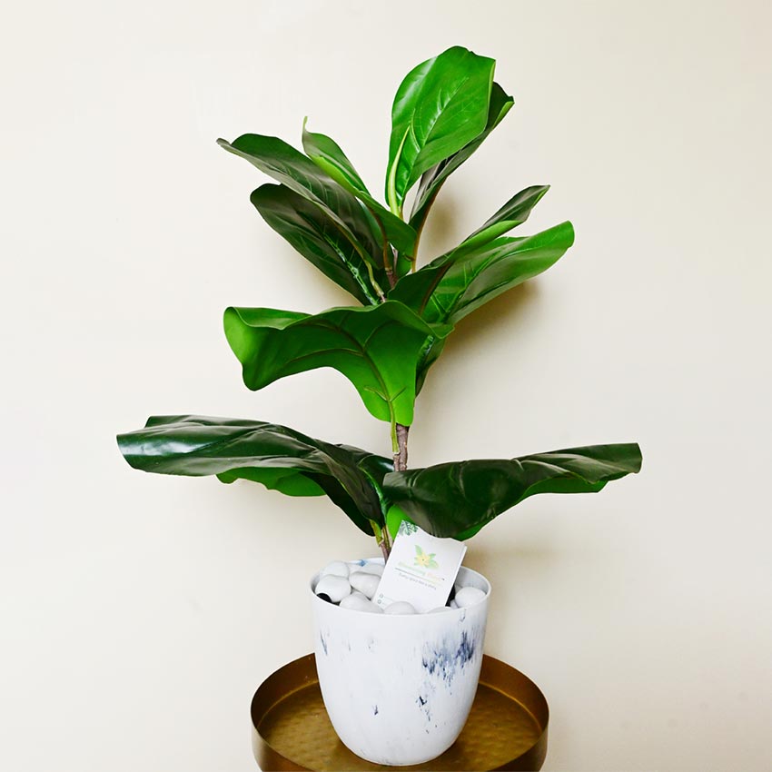Modern Artistic White Tie Dye Indoor Planter Pot Without Plant | 6 x 5 inches