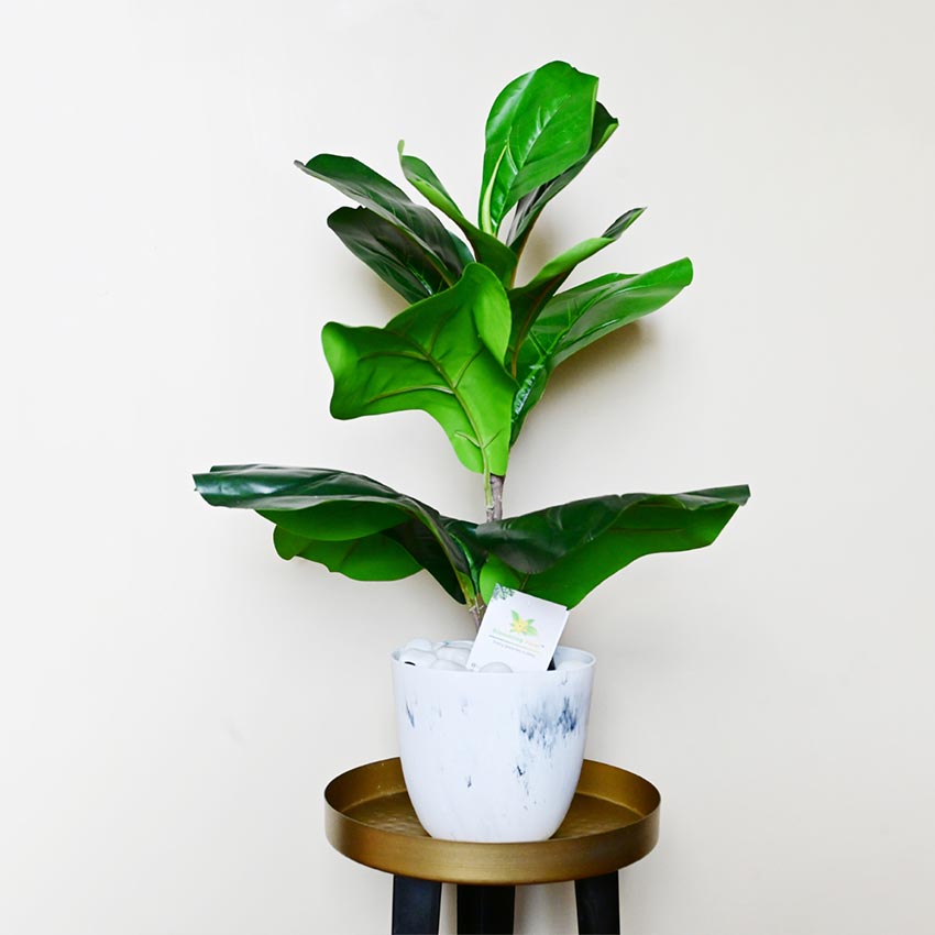 Modern Artistic White Tie Dye Indoor Planter Pot Without Plant | 6 x 5 inches