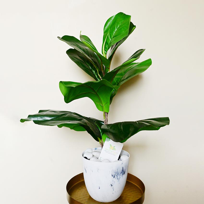 Modern Artistic White Tie Dye Indoor Planter Pot Without Plant | 6 x 5 inches