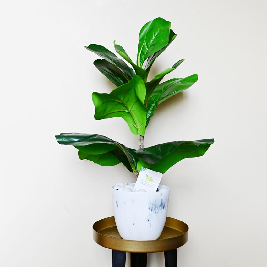 Modern Artistic White Tie Dye Indoor Planter Pot Without Plant | 6 x 5 inches