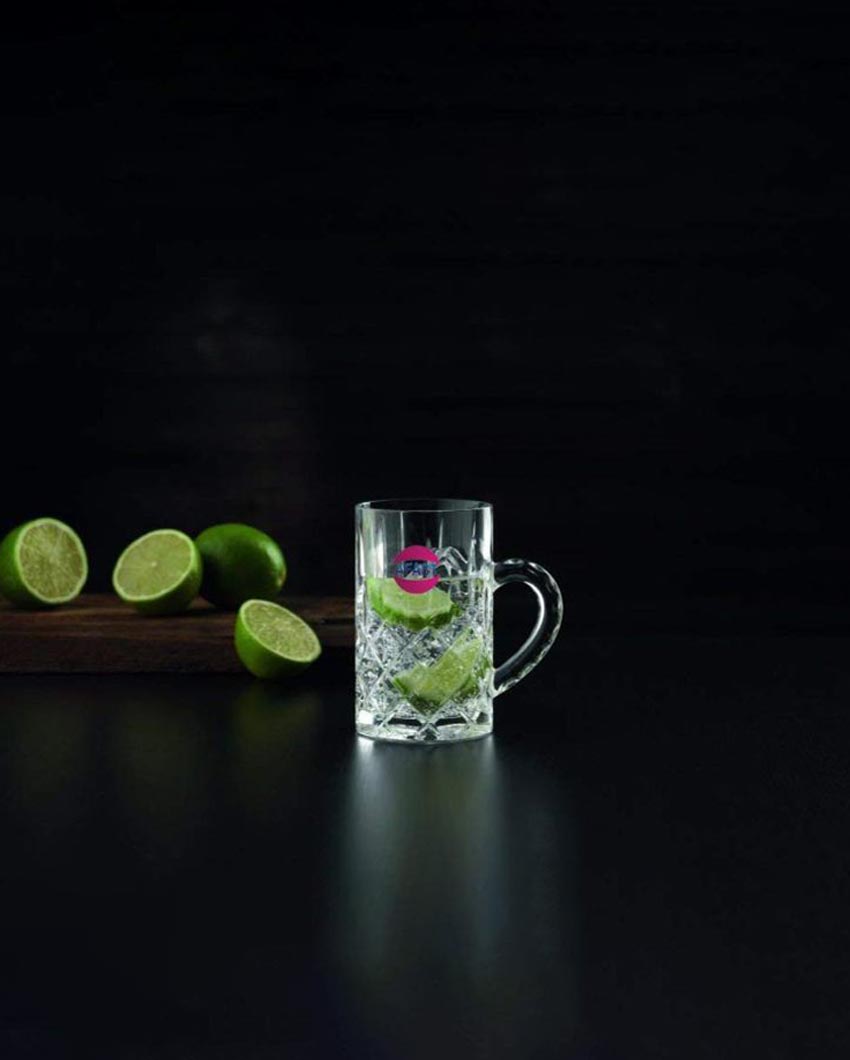 Elegant Frosted Glass Beer Mugs | 450ml | 4 x 5 inches