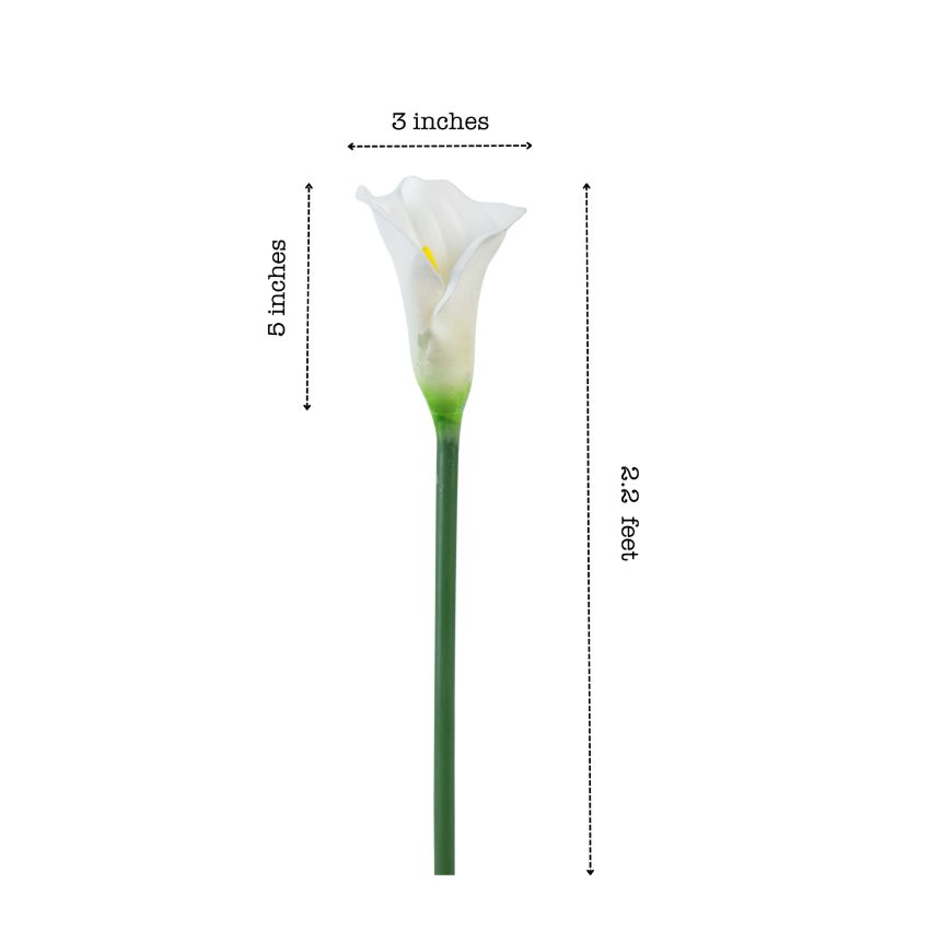 Elegant Calla Lily Flower Sticks Without Vase | Set of 5 | 2.2 Feet