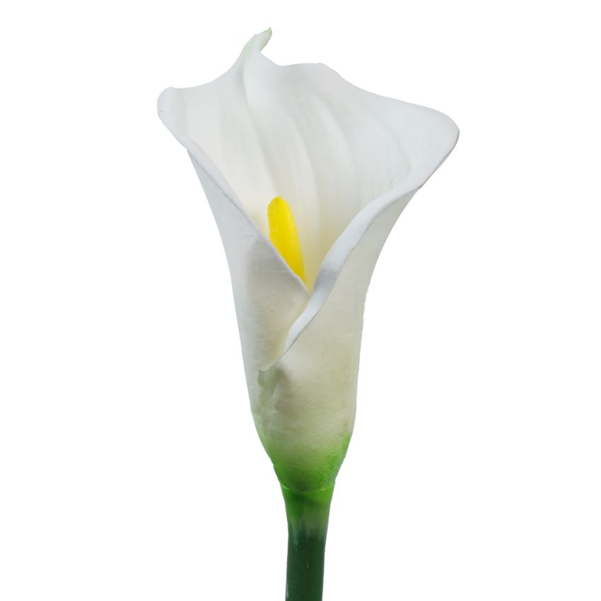 Elegant Calla Lily Flower Sticks Without Vase | Set of 5 | 2.2 Feet
