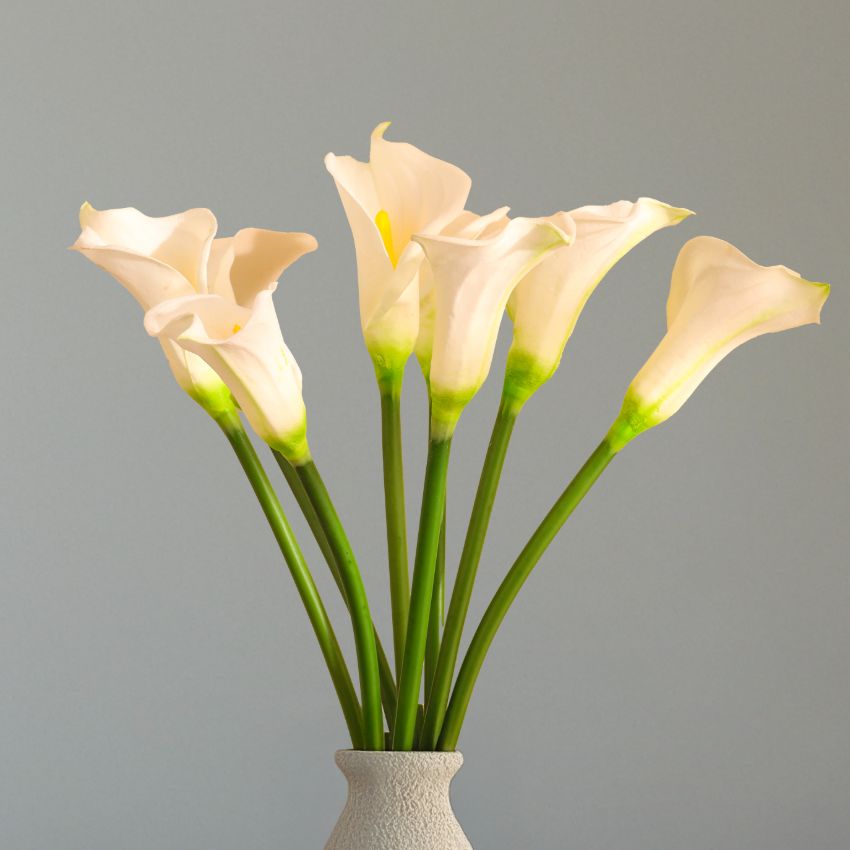 Elegant Calla Lily Flower Sticks Without Vase | Set of 5 | 2.2 Feet