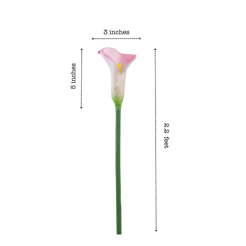 Elegant Calla Lily Flower Sticks Without Vase | Set of 5 | 2.2 Feet