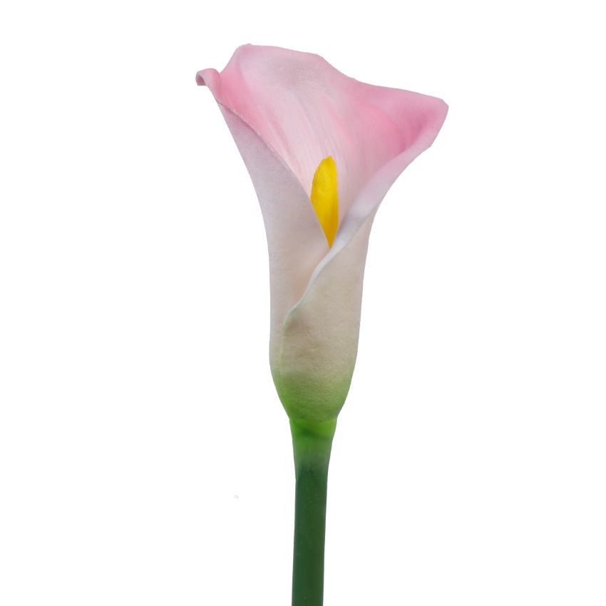 Elegant Calla Lily Flower Sticks Without Vase | Set of 5 | 2.2 Feet