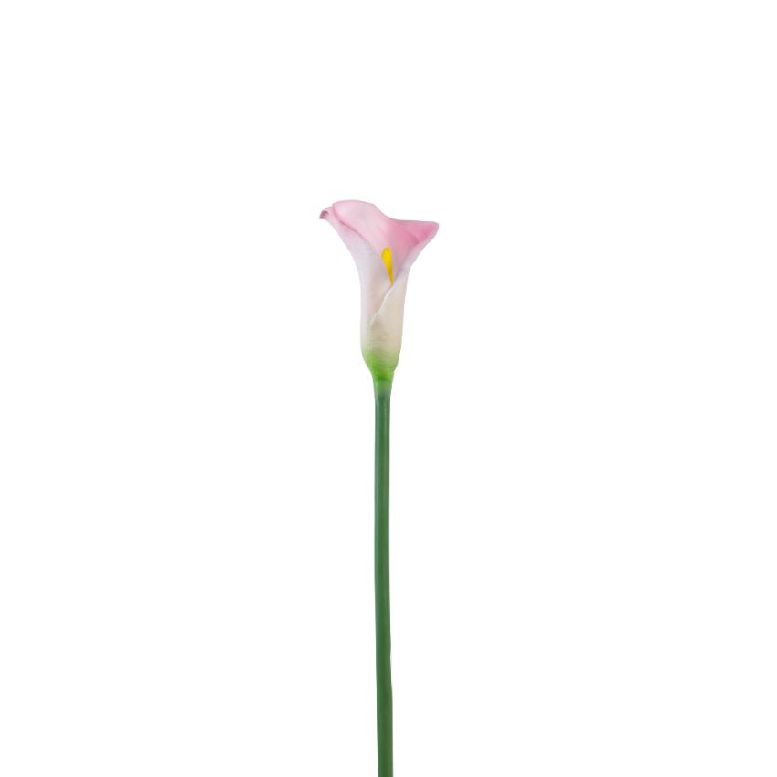 Elegant Calla Lily Flower Sticks Without Vase | Set of 5 | 2.2 Feet