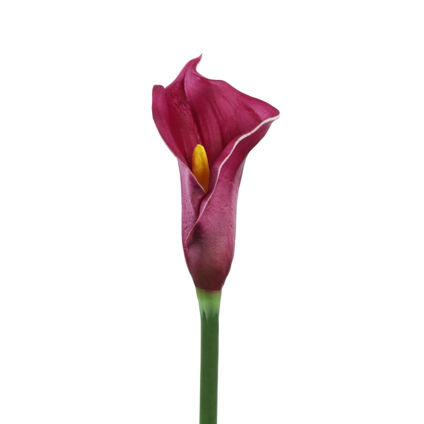 Elegant Calla Lily Flower Sticks Without Vase | Set of 5 | 2.2 Feet