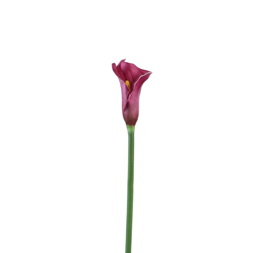 Elegant Calla Lily Flower Sticks Without Vase | Set of 5 | 2.2 Feet