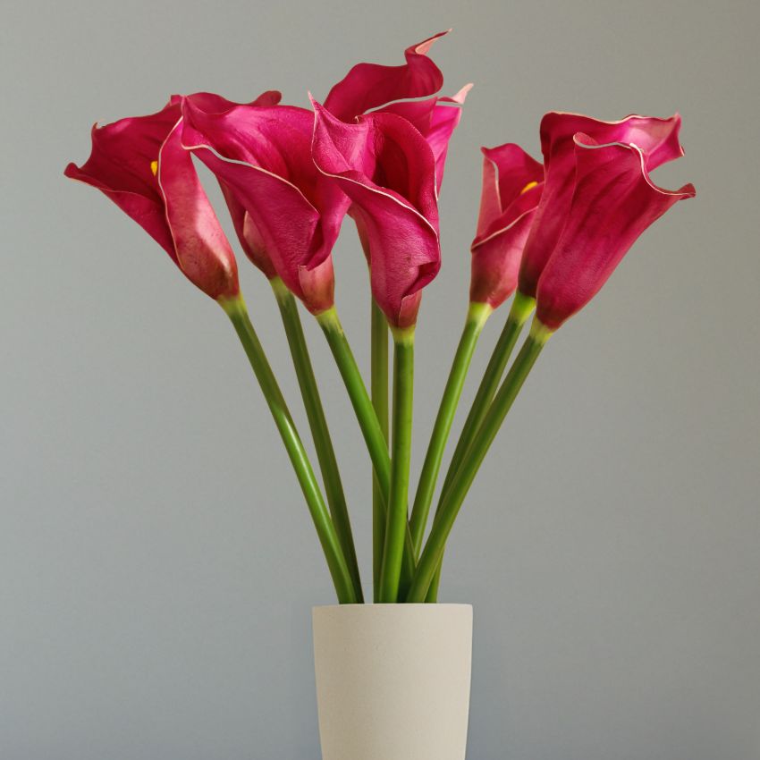 Elegant Calla Lily Flower Sticks Without Vase | Set of 5 | 2.2 Feet