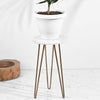 New Moon Plant Stand | 8 Inhes, 10 Inches 8 Inches