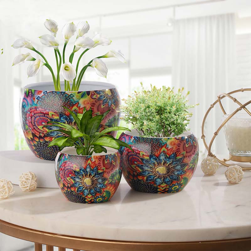 Vihana Elegant Table Top Planters | Set Of 3 - Dusaan