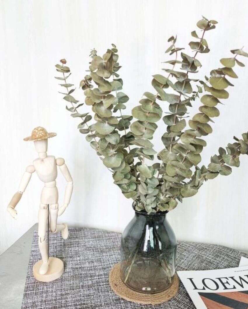 Light Green Eucalyptus Stems Set | 5 Pieces
