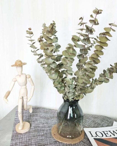 Light Green Eucalyptus Stems Set | 5 Pieces