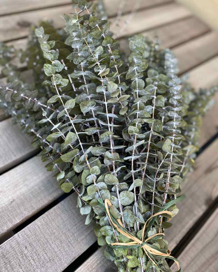 Light Green Eucalyptus Stems Set | 5 Pieces