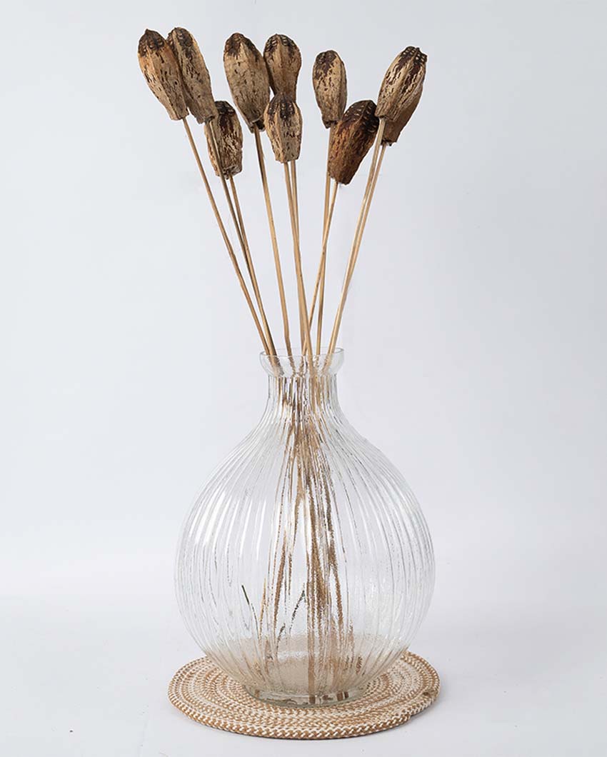 Elegant Texture 10 Dried Mahogany Pods | 22 inches | Vase not included
