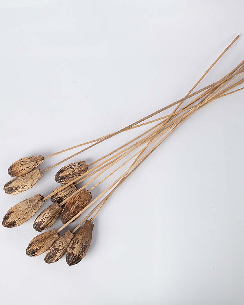 Elegant Texture 10 Dried Mahogany Pods | 22 inches | Vase not included