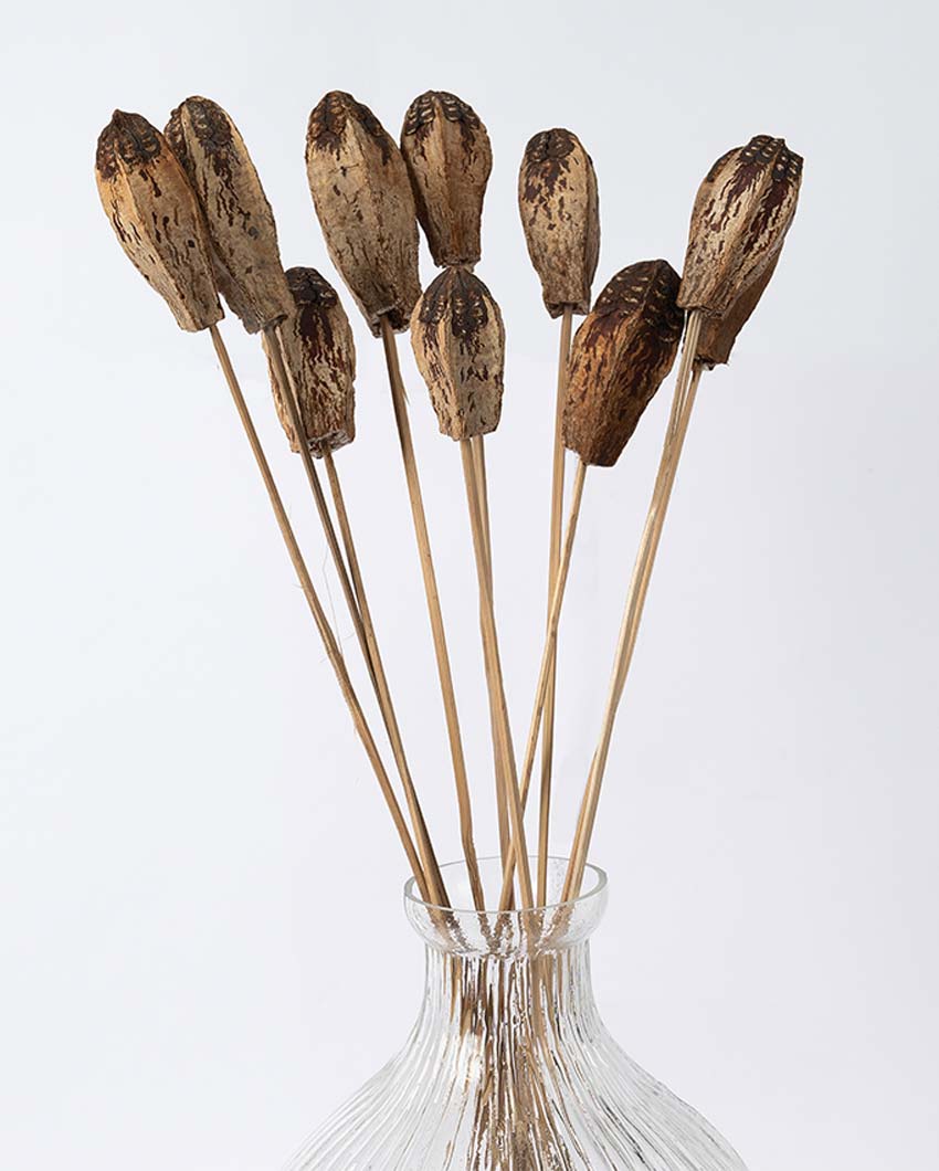 Elegant Texture 10 Dried Mahogany Pods | 22 inches | Vase not included