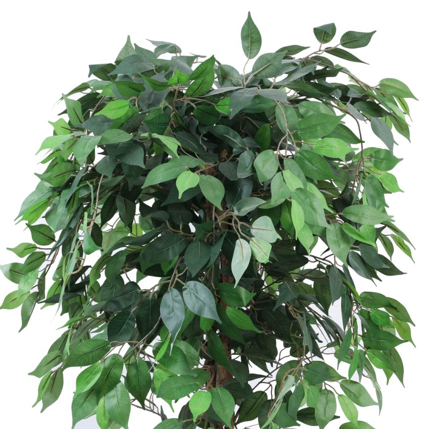 Elegant Green Artificial Ficus Plant in Black Pot