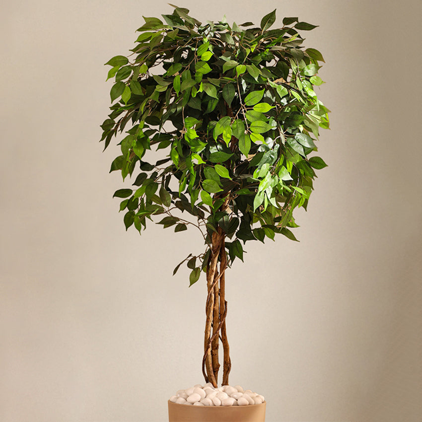 Elegant Green Artificial Ficus Plant in Black Pot