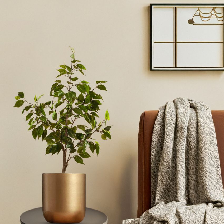 Elegant Green Artificial Ficus Plant in Black Pot