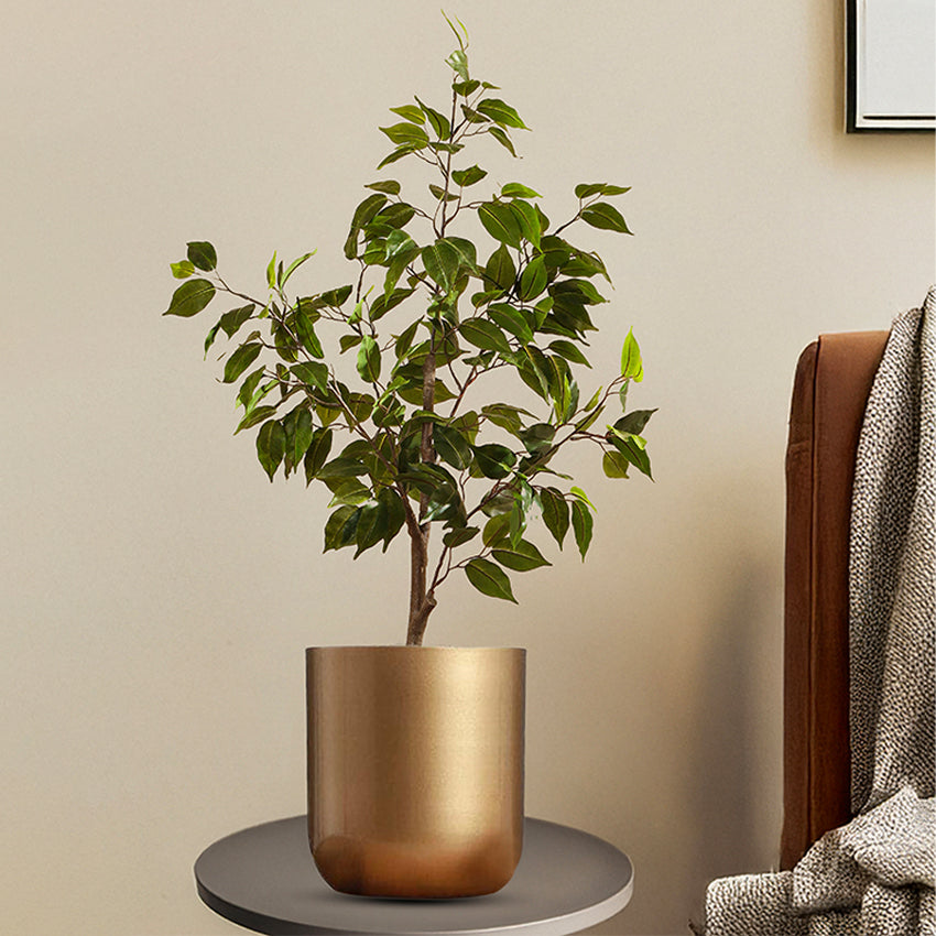 Elegant Green Artificial Ficus Plant in Black Pot