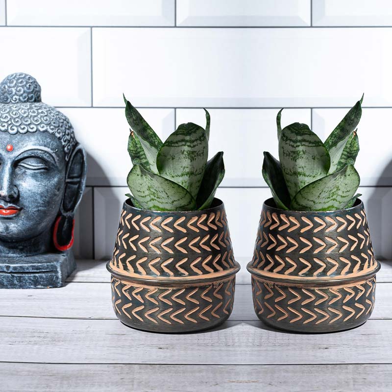 Pollen Grove Planter | Set of 2