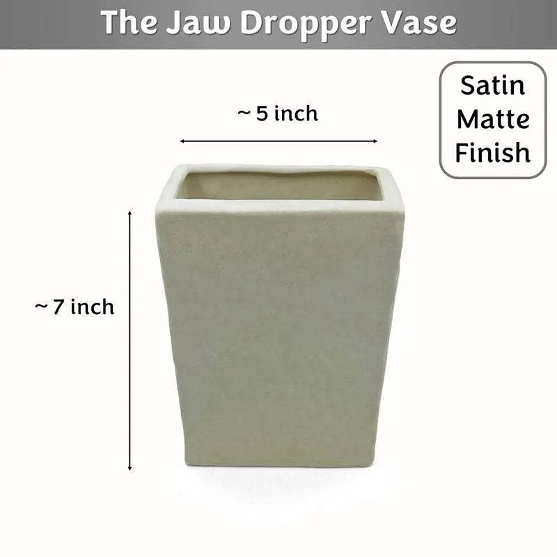 Jaw Dropper Ivory Face Vase | 7 inches | Multiple Colors Satin Matte Finish