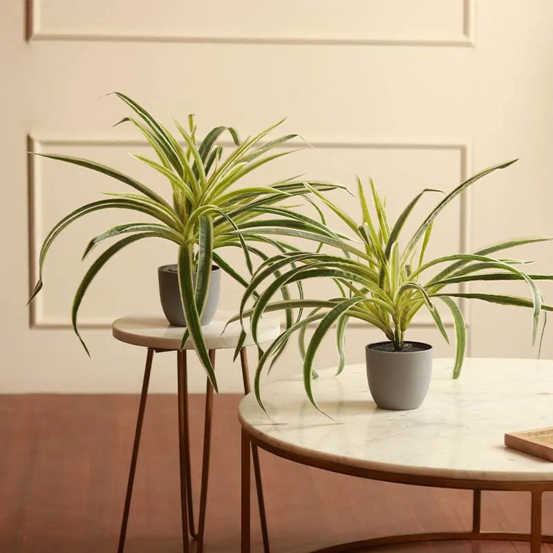 The Hawaiian | Artificial Spider Plant With Pots | 15 inch | set of 2