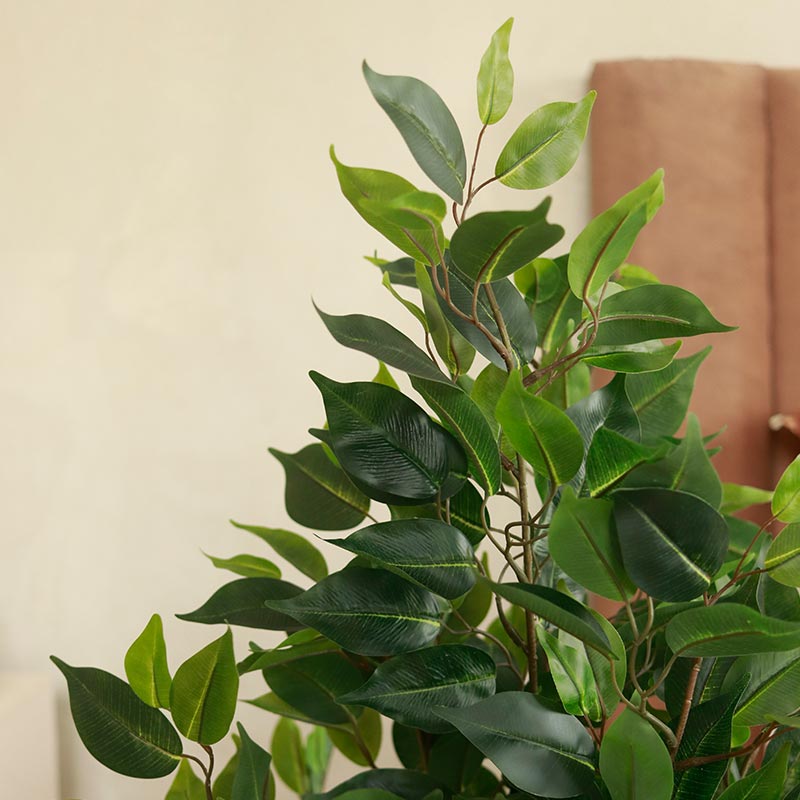 Artificial Ficus Bonsai | 36 Inches