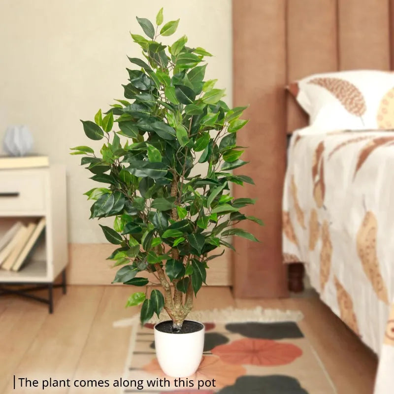 Artificial Ficus Bonsai | 36 Inches