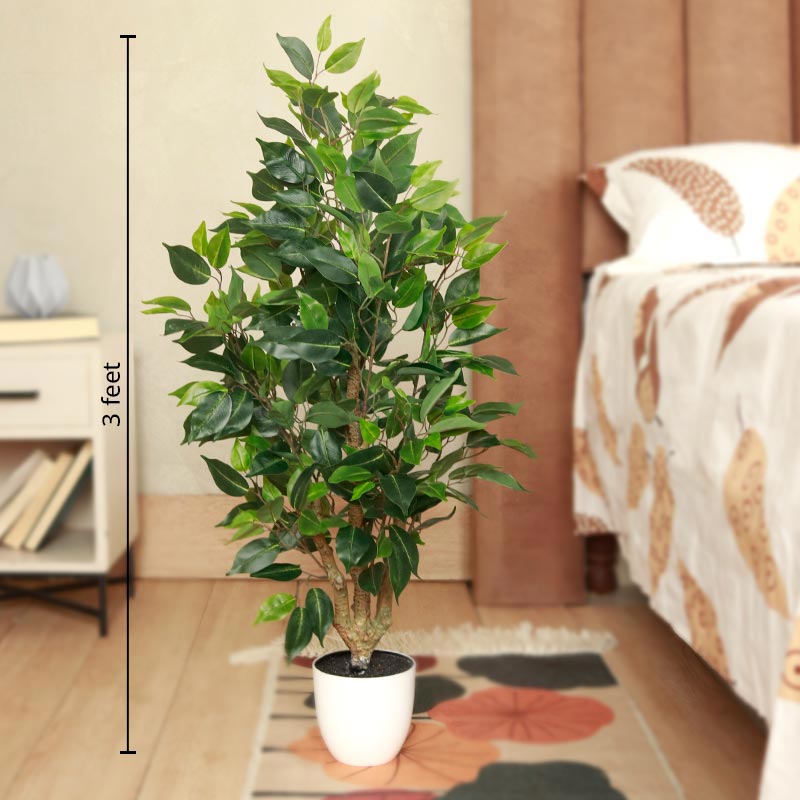 Artificial Ficus Bonsai | 36 Inches