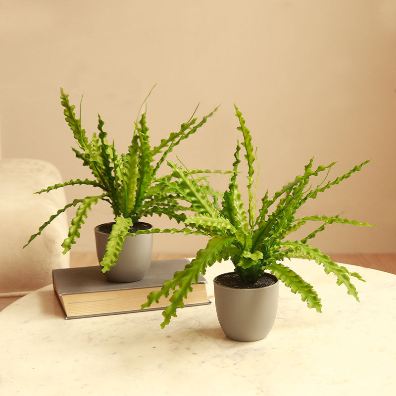 The Prime | Set of 2 Artificial Fern Plant in Pot