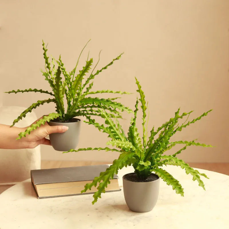 The Prime | Set of 2 Artificial Fern Plant in Pot