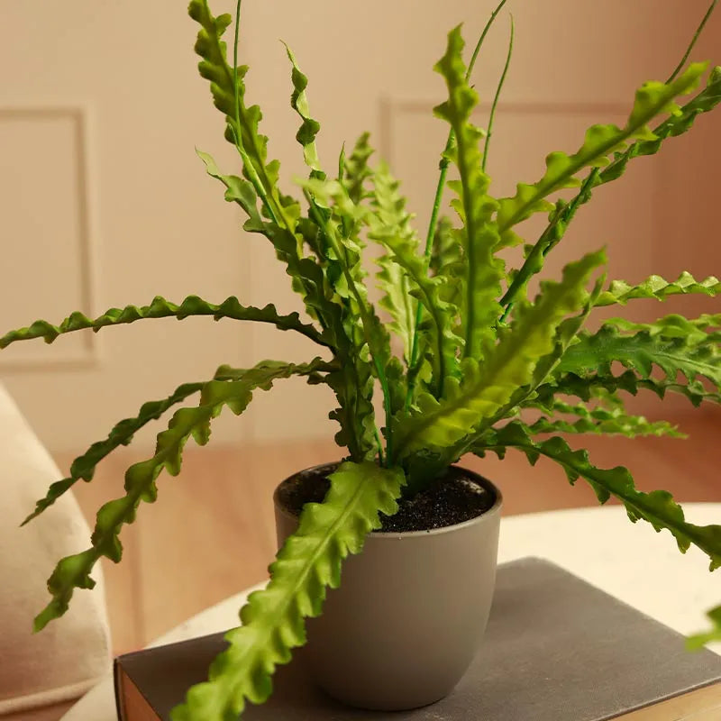 The Prime | Set of 2 Artificial Fern Plant in Pot