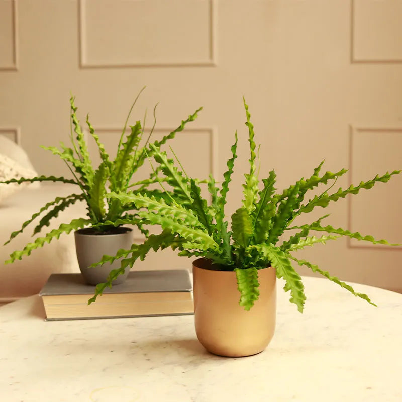 The Prime | Set of 2 Artificial Fern Plant in Pot