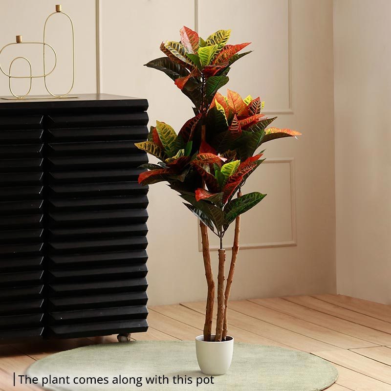 The Kusai | Croton Artificial Plant | 4ft