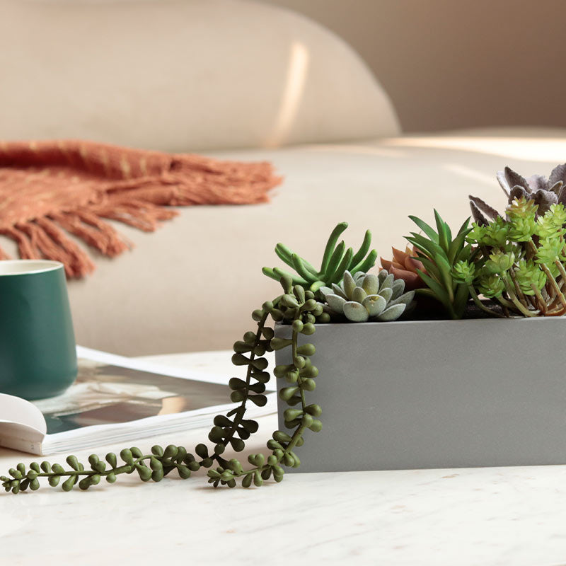 Artificial Succulents in Rectangular Tray Default Title