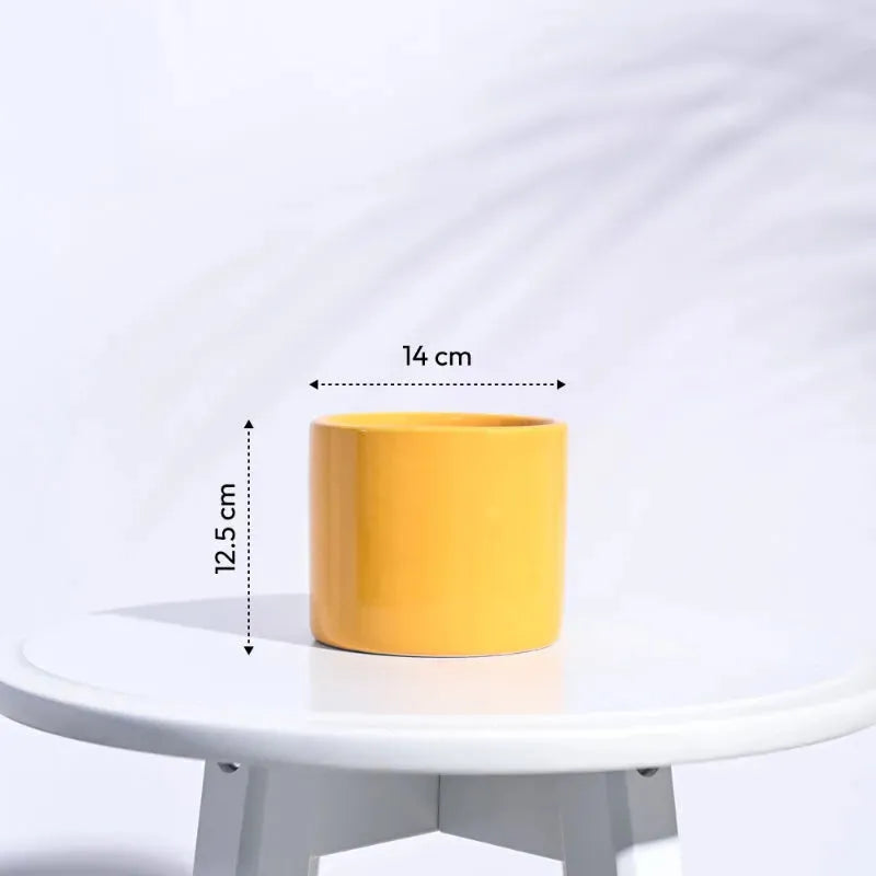 Pipe Ceramic Pot | Multiple Colors Yellow