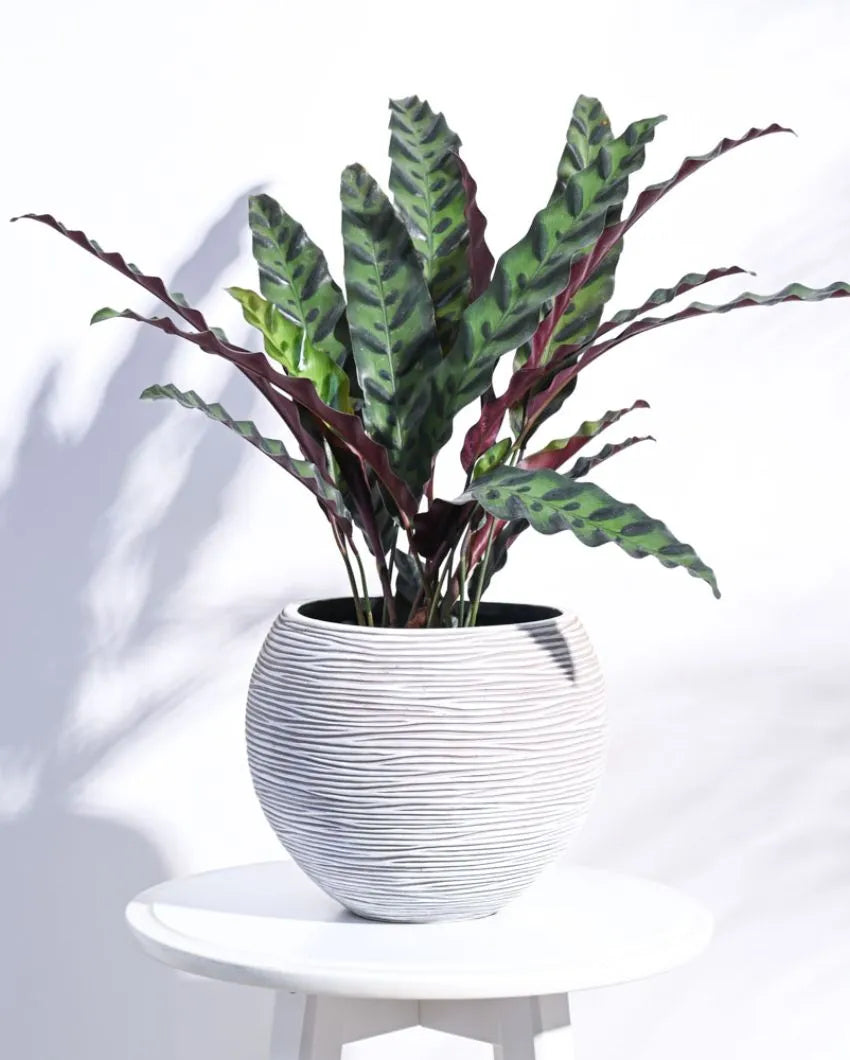 Vase Ball Rib Ivory Planter | Multiple Sizes
