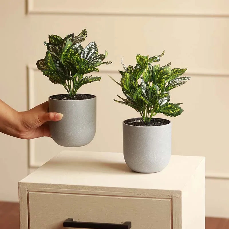 The Rex | Set of 3 Small Artificial Begonia in Grey Pots