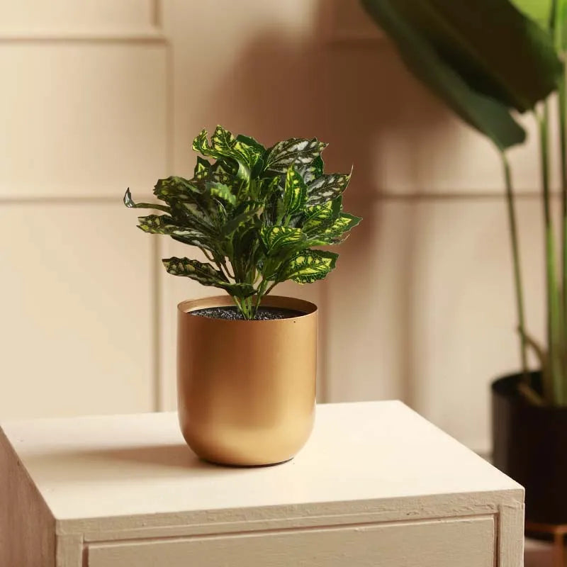 The Rex | Set of 3 Small Artificial Begonia in Grey Pots