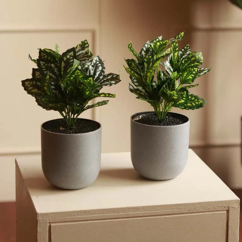 The Rex | Set of 3 Small Artificial Begonia in Grey Pots