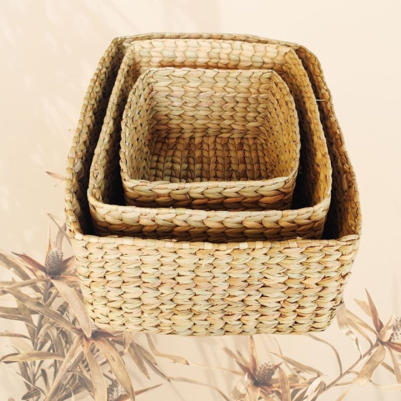 Water Reed Kauna Grass Baskets | Set of 3