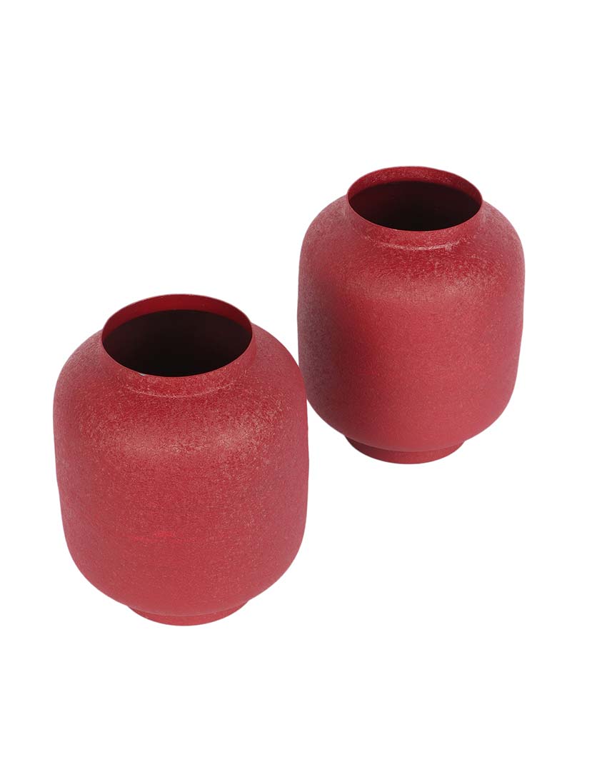 Stylish Textured Flower Pots | Set Of 2 | 5 x 8 inches