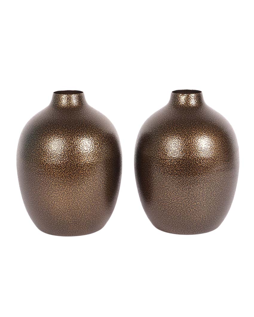 Trendy Brown Textured Flower Pots | Set Of 2 | 3 x 8 inches