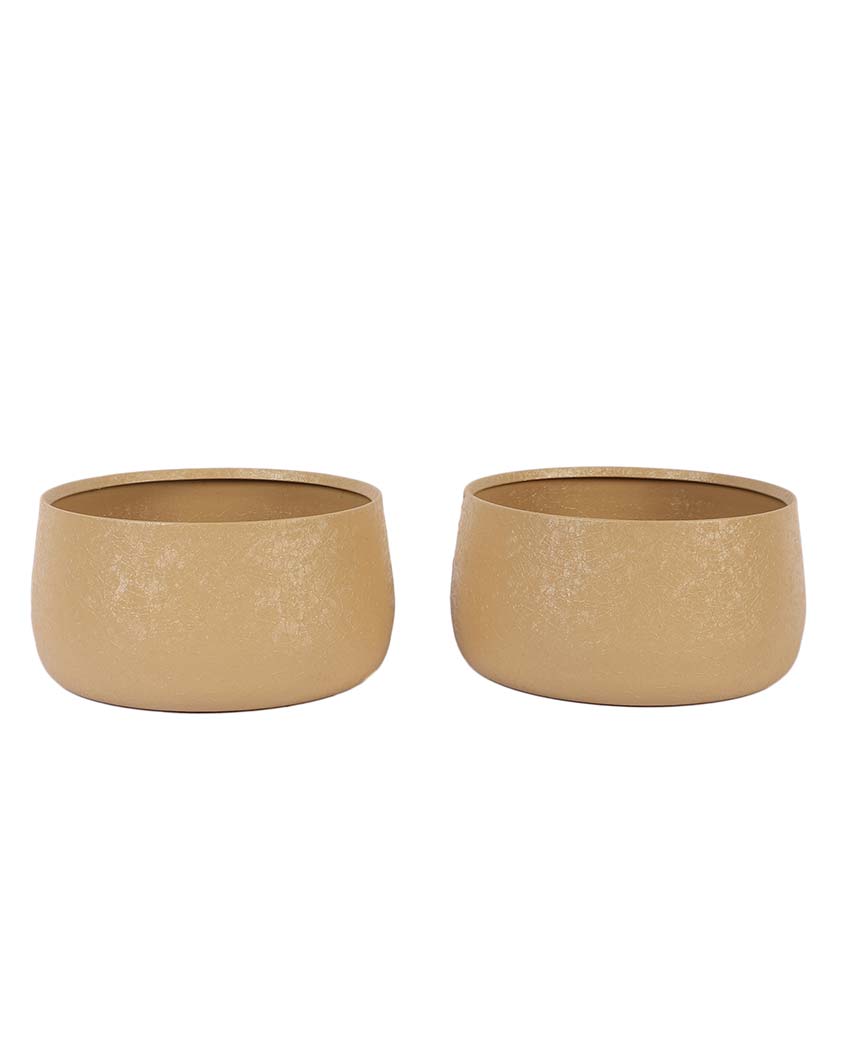Modern Bowl Textured Planters | Set Of 2 | 5 x 3 inches