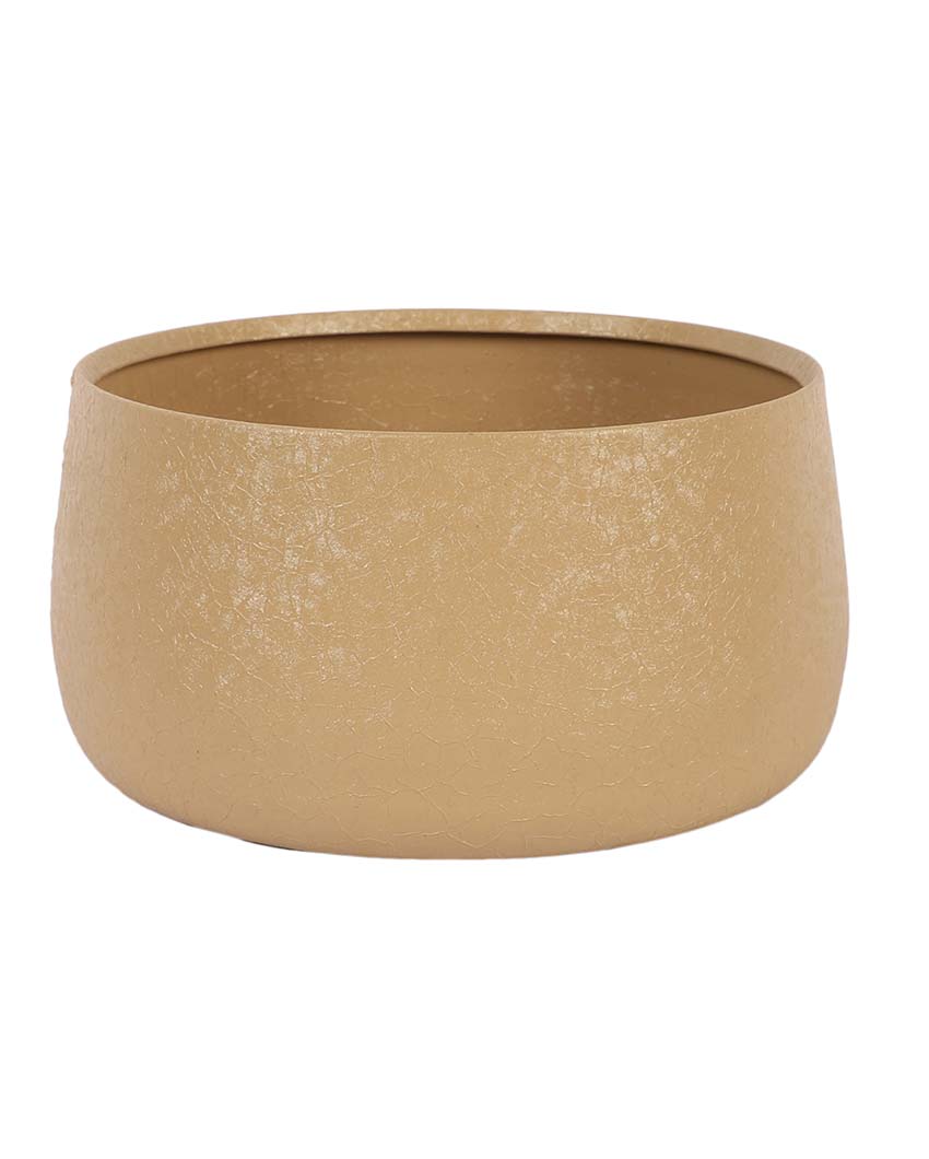 Modern Bowl Textured Planters | Set Of 2 | 5 x 3 inches